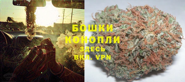 молекула духа Бронницы