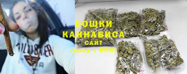молекула духа Бронницы